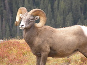 Rocky Mountain National Park