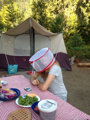 Wenatchee National Forest