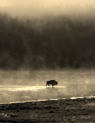 Yellowstone National Park