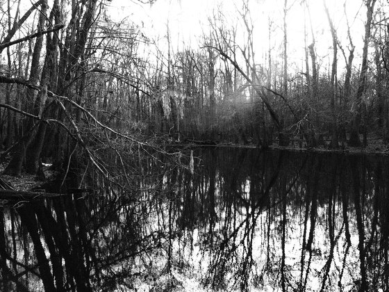 Congaree National Park
