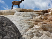 Yellowstone National Park