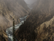 Yellowstone National Park