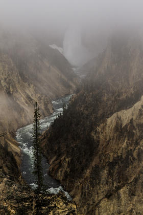 Yellowstone National Park