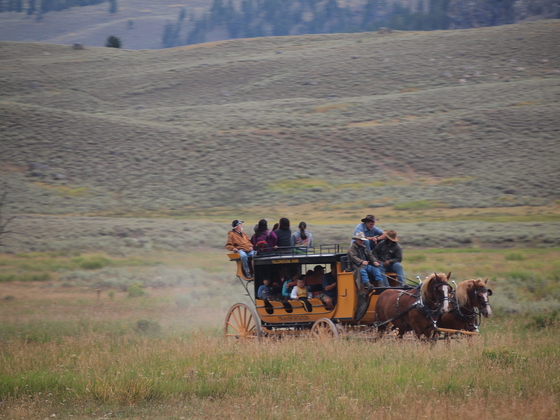 Yellowstone National Park