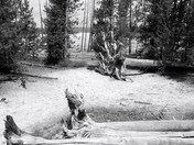 Yellowstone National Park
