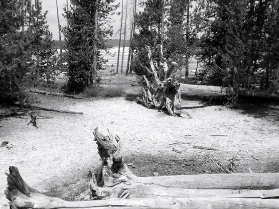 Yellowstone National Park