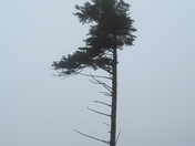 Great Smoky Mountains