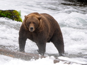 Katmai