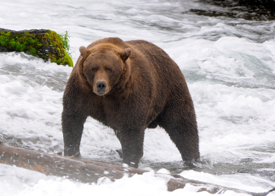 Katmai