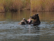 Katmai