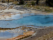 Yellowstone 