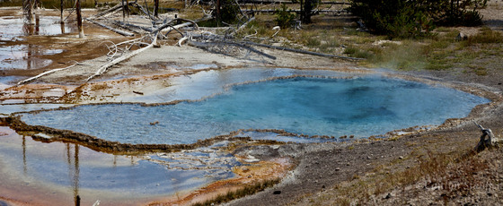 Yellowstone 
