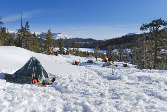Stanislaus National Forest