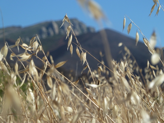 Santa Monica Mountains National Recreation Area