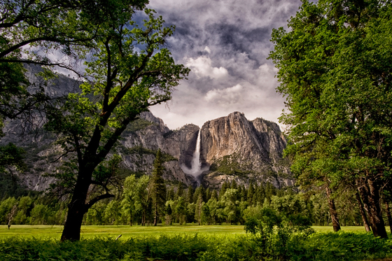 Yosemite National Park