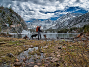 Inyo National Forest