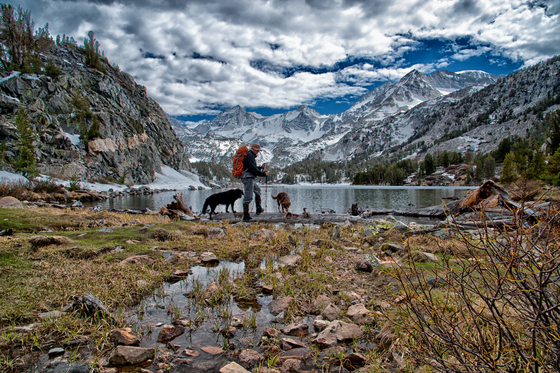 Inyo National Forest