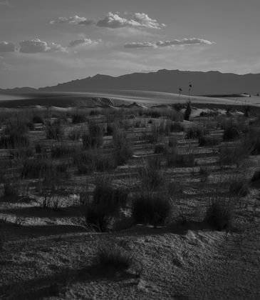 White Sands National Park