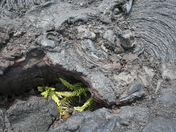 Hawai'i Volcanos National Park