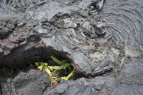 Hawai'i Volcanos National Park