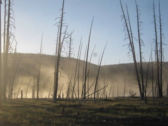 Yellowstone National Park