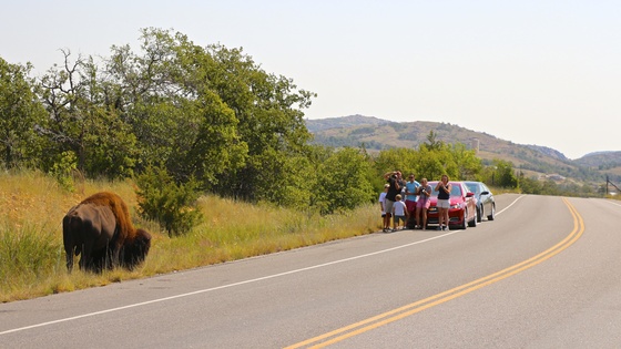 Wichita Mountains Wildlife Refuge