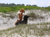 Assateague Island National Seashore