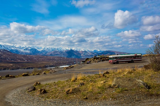 Denali National Park