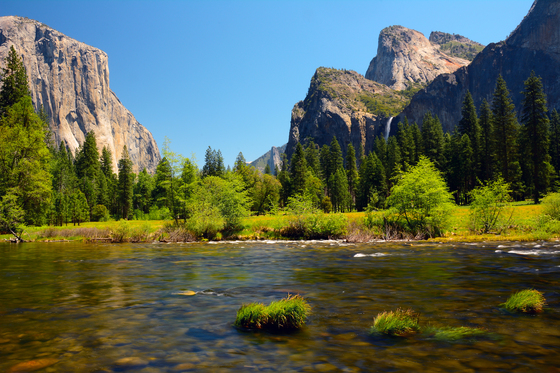 Yosemite National Park