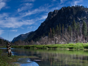 Golden Trout Wilderness
