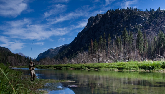 Golden Trout Wilderness