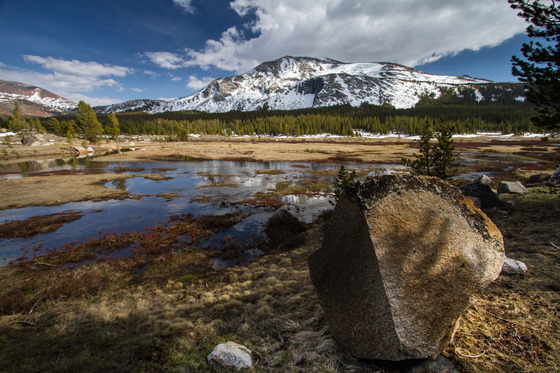Yosemite National Park