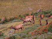Rocky Mountain National Park