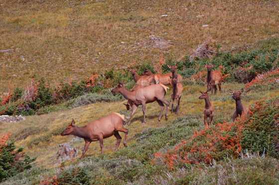 Rocky Mountain National Park
