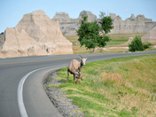 Badlands National Park