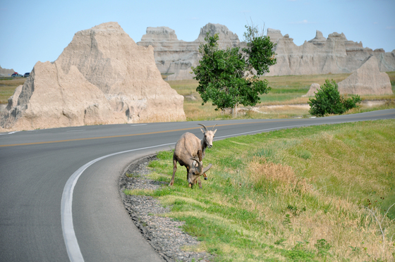 Badlands National Park