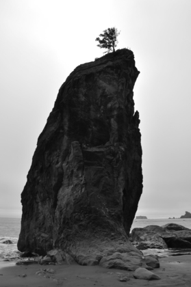 Olympic National Park