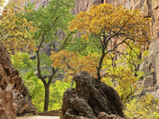 Zion National Park