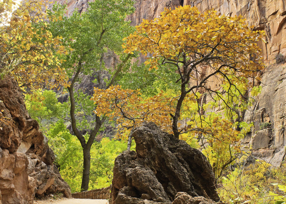 Zion National Park