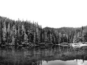 Mt. Hood National Forest