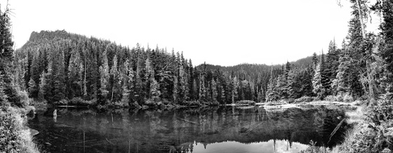 Mt. Hood National Forest