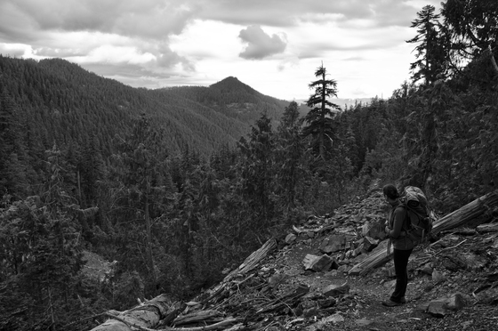 Mt. Hood National Forest