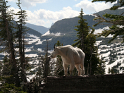 Glacier National Park