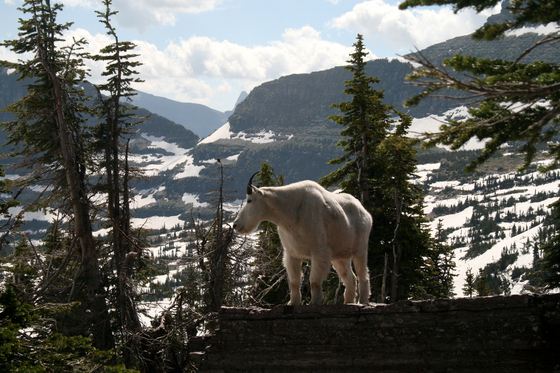Glacier National Park