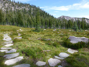 Mt Shasta National Forest