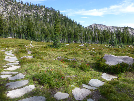 Mt Shasta National Forest