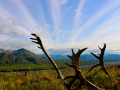 Denali National Park