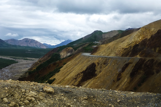 Denali National Park