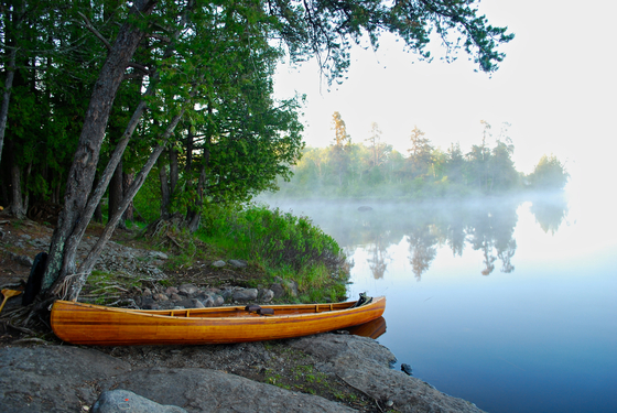 Superior National Forest