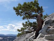 yosemite